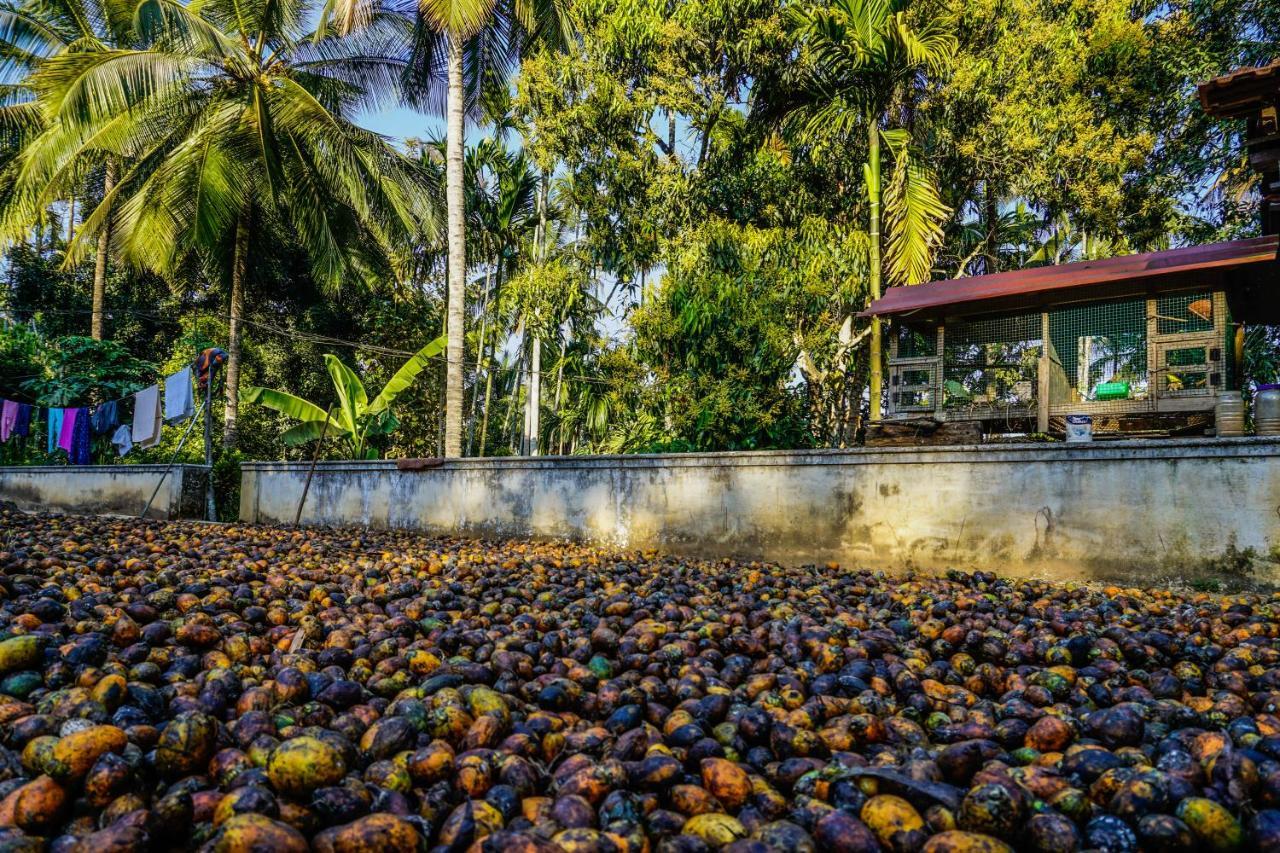 Spice Garden Farm House Sultan Bathery Exterior foto