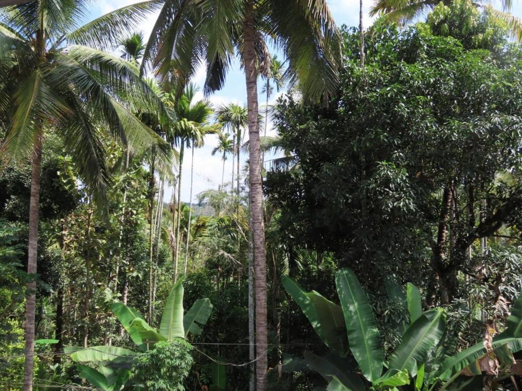Spice Garden Farm House Sultan Bathery Exterior foto